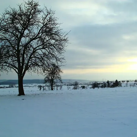 Apartamento Guest Eifelglueck In Pelm