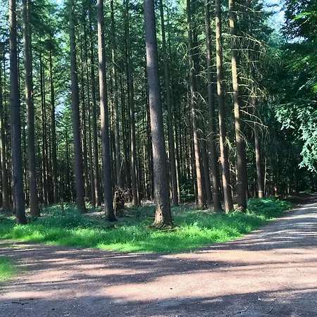 Apartamento Guest Eifelglueck In *