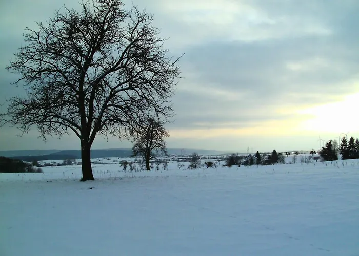 Apartamento Guest Eifelglueck In Pelm