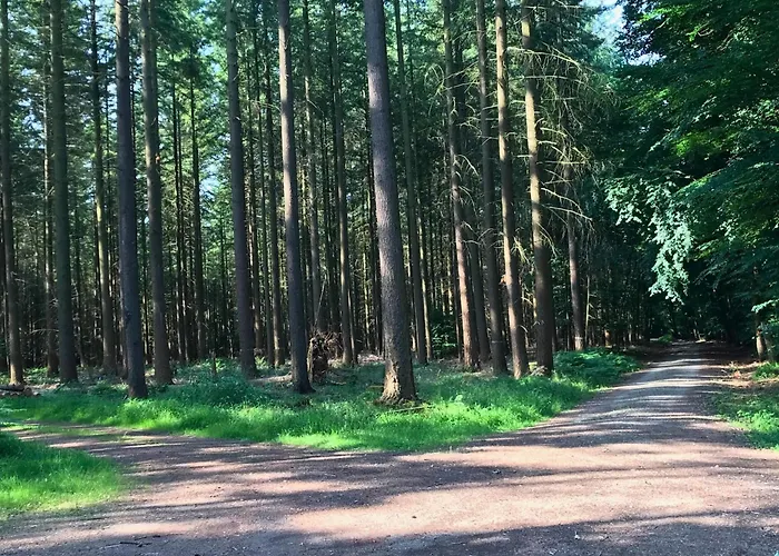 Apartamento Guest Eifelglueck In *